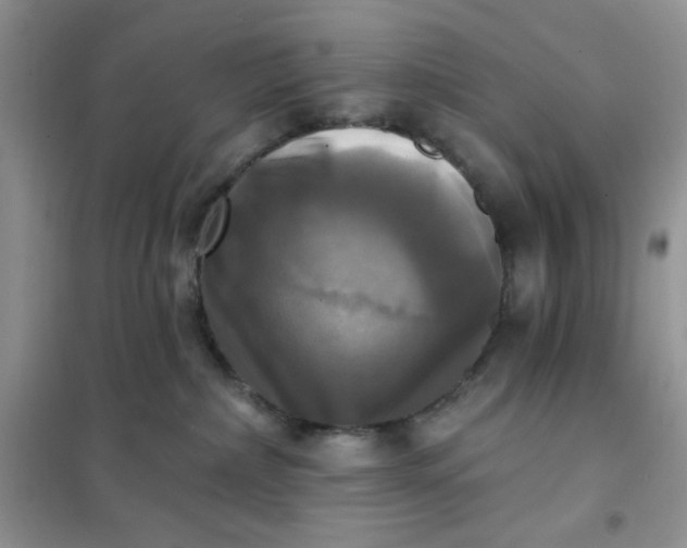 X0000102020236200808011431