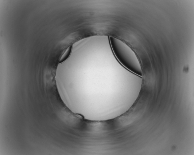 X0000102020237200808011431
