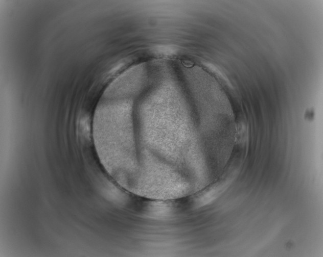 X0000102020238200808011431