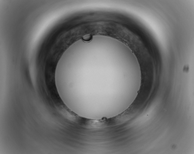 X0000102020239200808011431