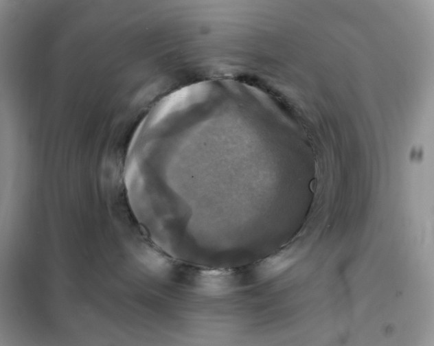 X0000102020240200808011431