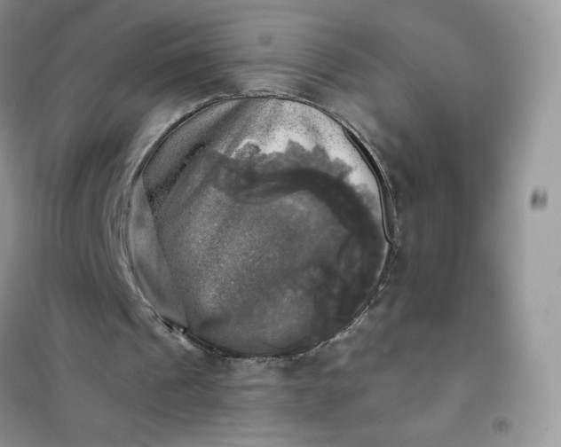 X0000102020241200808011430