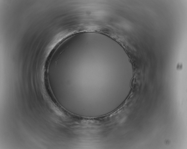X0000102020242200808011430