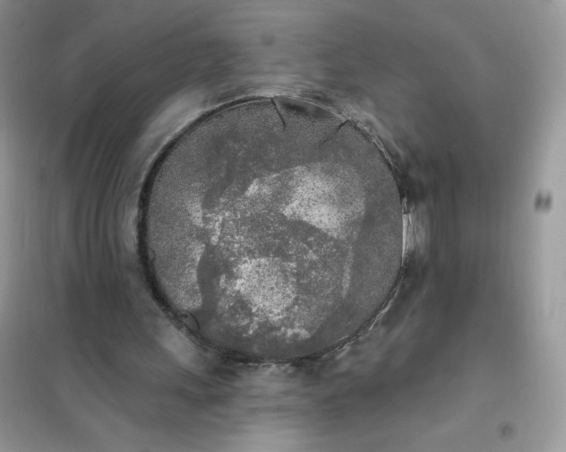 X0000102020243200808011430