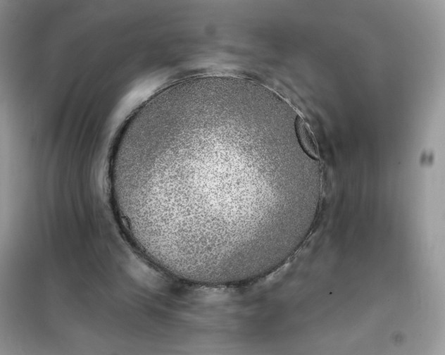 X0000102020245200808011430