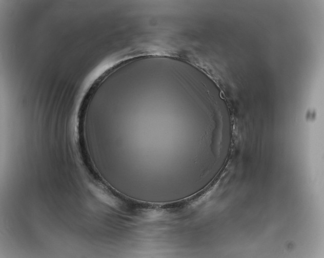 X0000102020246200808011430