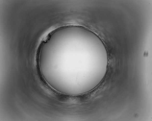 X0000102020248200808011430