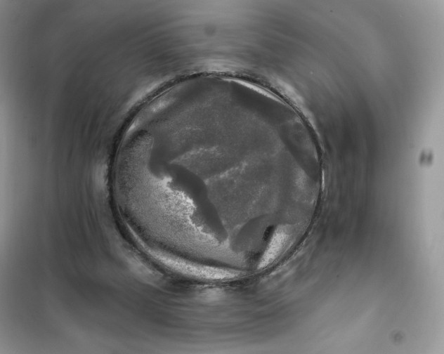 X0000102020249200808011430