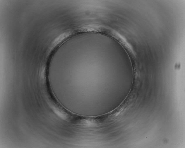 X0000102020250200808011430