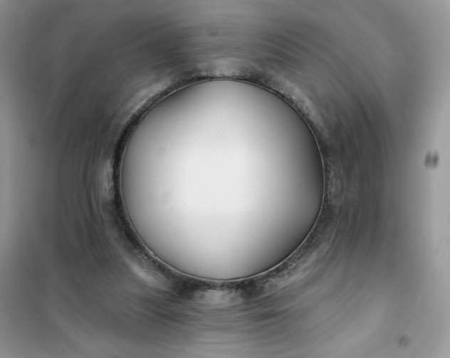 X0000102020251200808011430