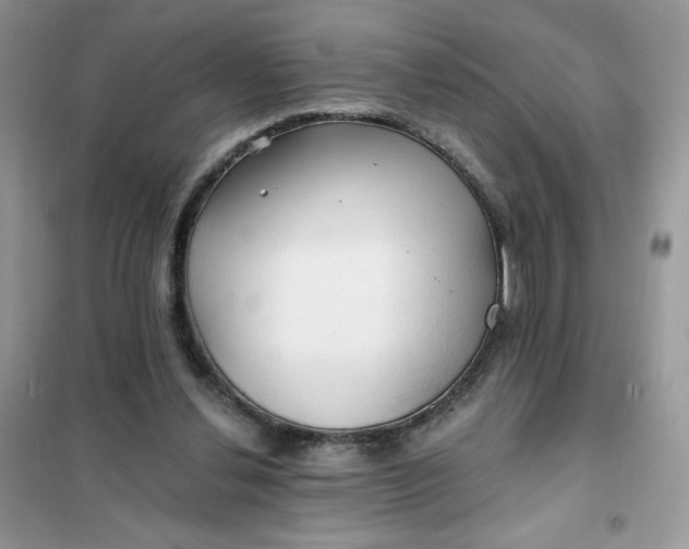 X0000102020252200808011430