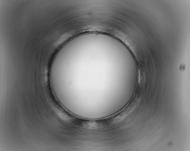 X0000102020253200808011430
