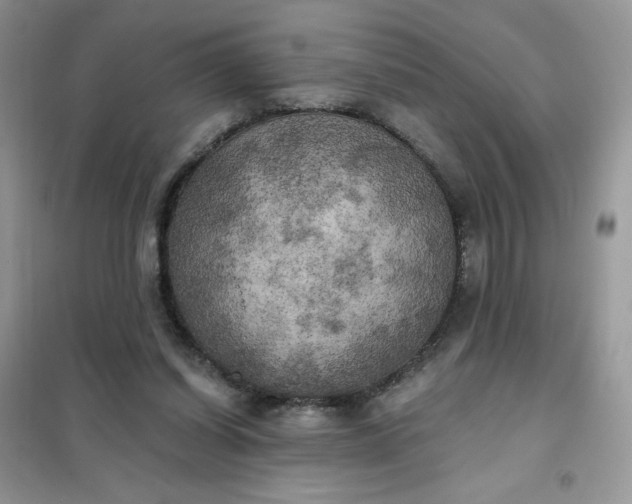 X0000102020254200808011430