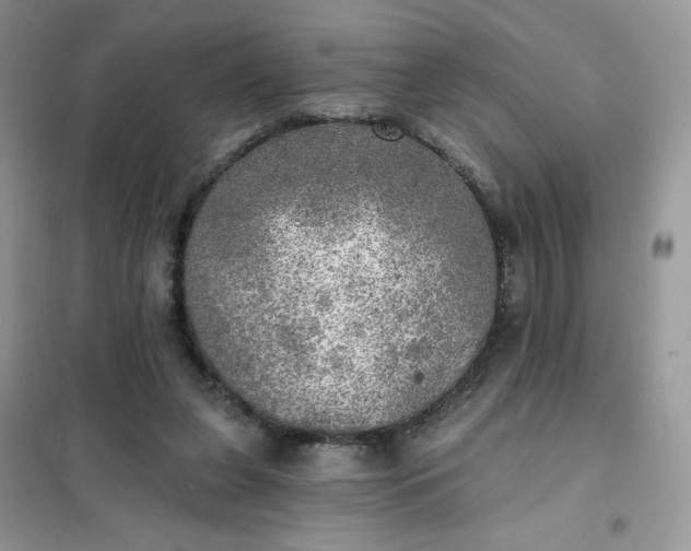 X0000102020255200808011430