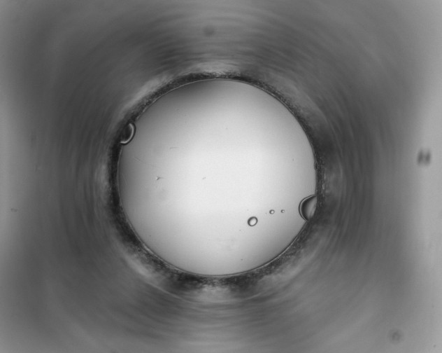 X0000102020256200808011430
