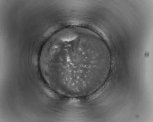 X0000102020257200808011431