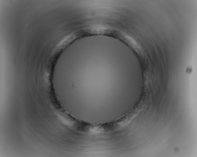 X0000102020258200808011431