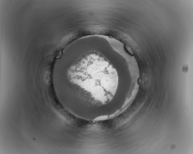 X0000102020259200808011431