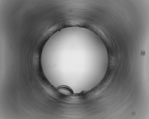 X0000102020260200808011431