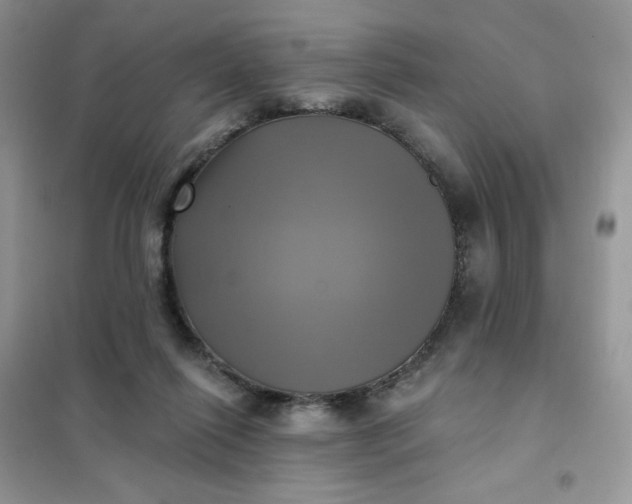 X0000102020262200808011431