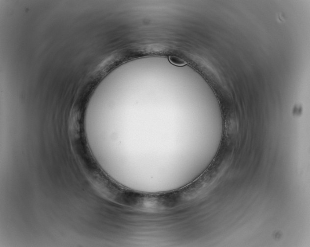 X0000102020264200808011431