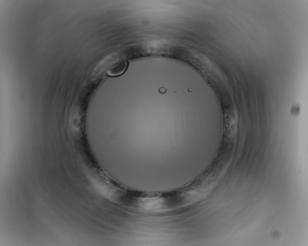 X0000102020266200808011431