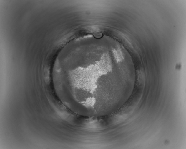 X0000102020267200808011431
