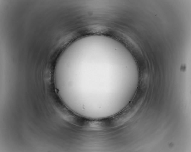 X0000102020268200808011431