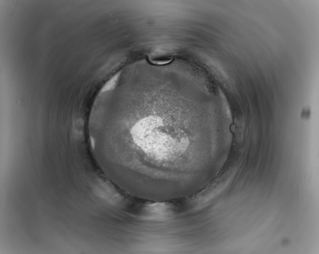 X0000102020269200808011431