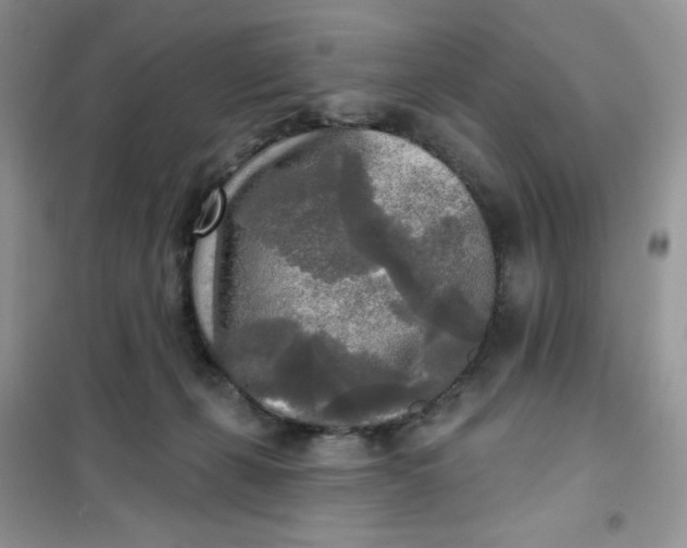 X0000102020271200808011431