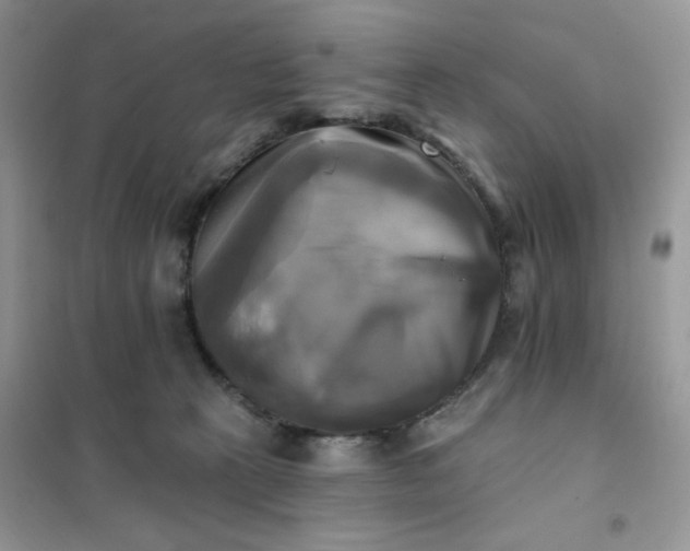 X0000102020273200808011431