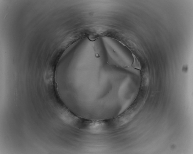 X0000102020274200808011431