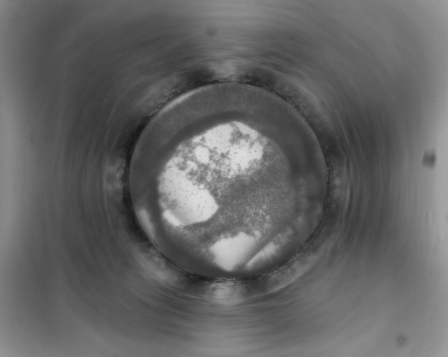 X0000102020275200808011431