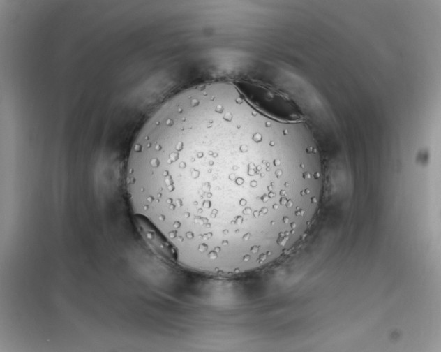X0000102020276200808011431