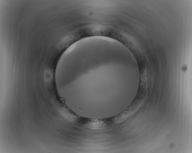 X0000102020278200808011431