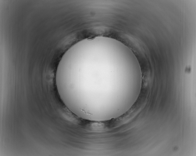 X0000102020279200808011431