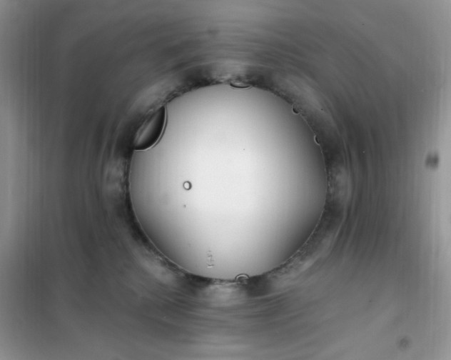 X0000102020280200808011431