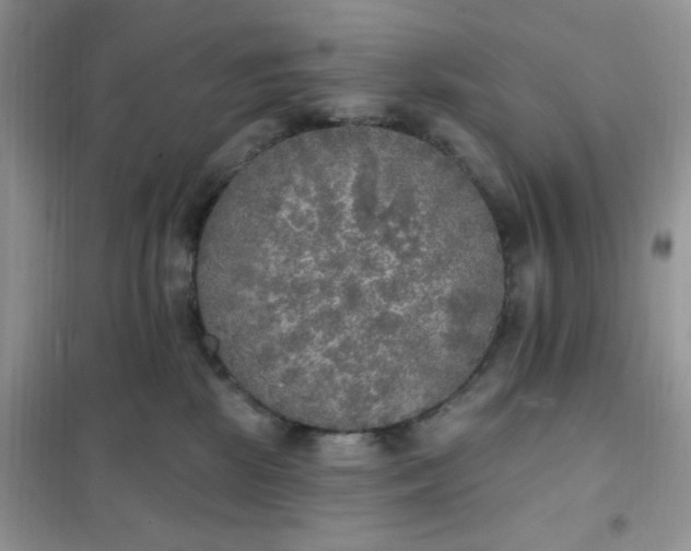 X0000102020281200808011431