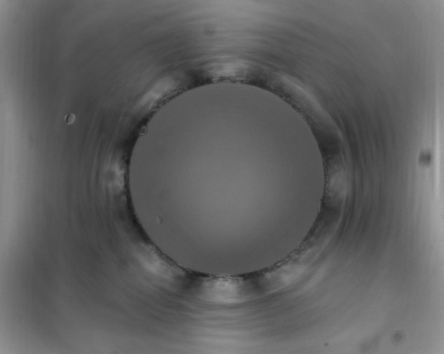 X0000102020282200808011431