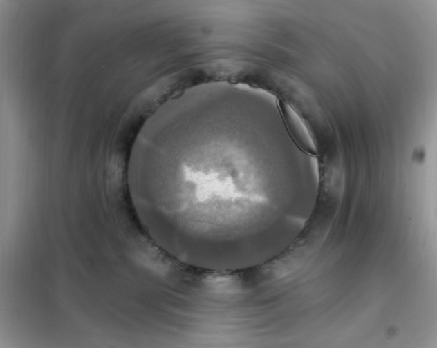 X0000102020283200808011431