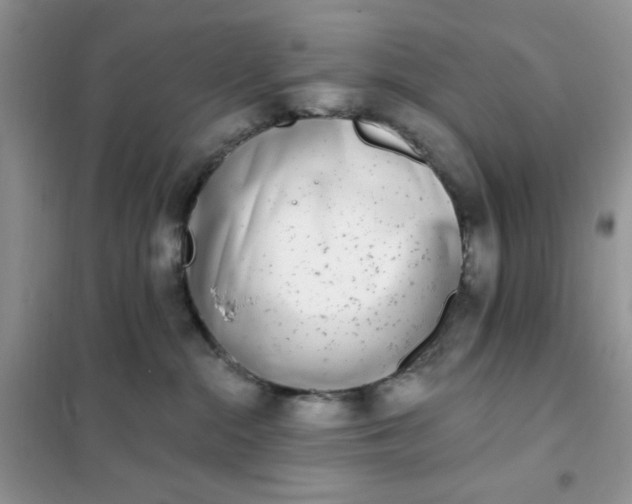 X0000102020284200808011431