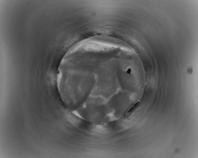 X0000102020285200808011431