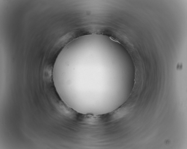 X0000102020288200808011431