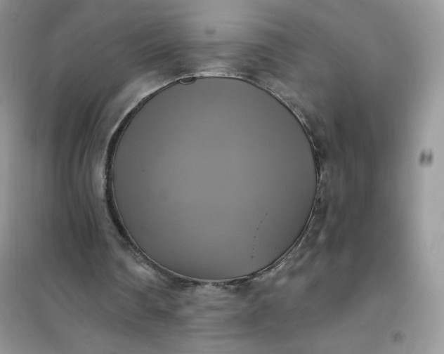 X0000102020290200808011430