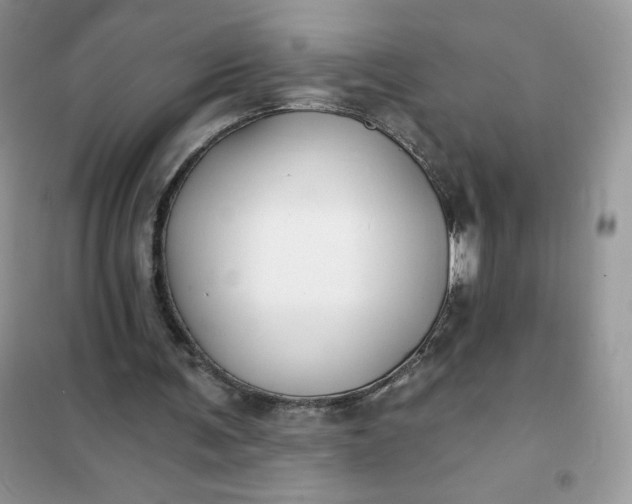 X0000102020291200808011430