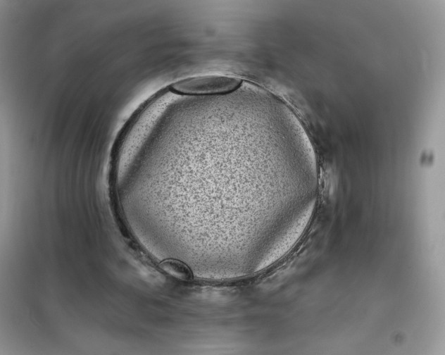 X0000102020292200808011430