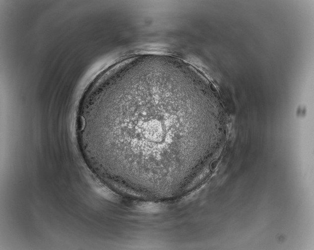 X0000102020293200808011430