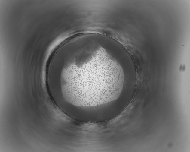 X0000102020294200808011430