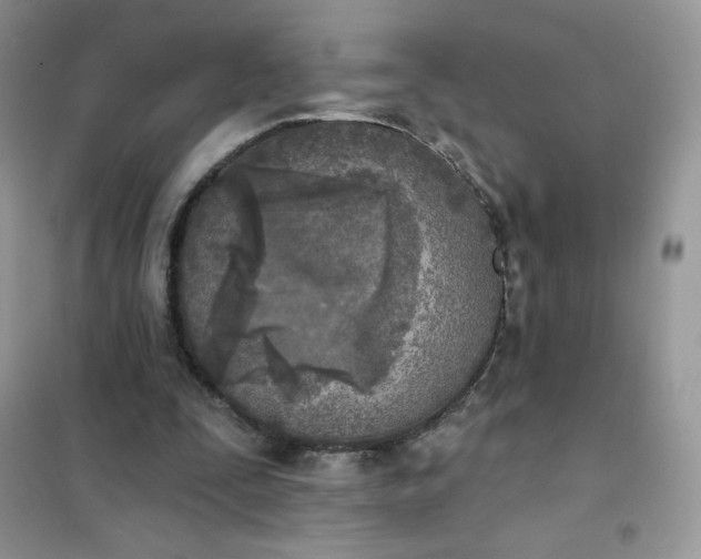X0000102020295200808011430