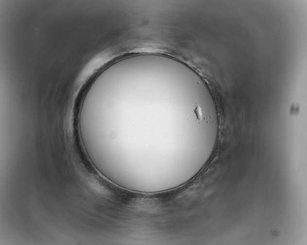 X0000102020296200808011430